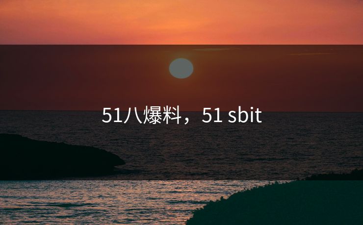 51八爆料，51 sbit