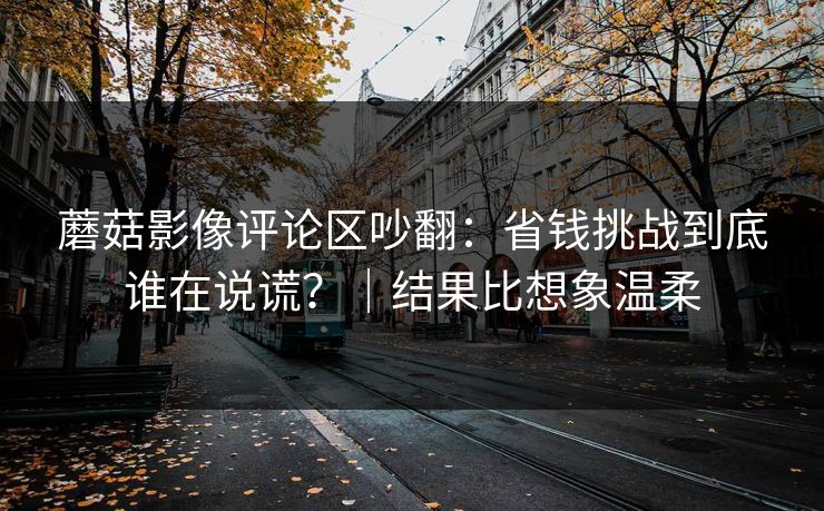 蘑菇影像评论区吵翻：省钱挑战到底谁在说谎？｜结果比想象温柔