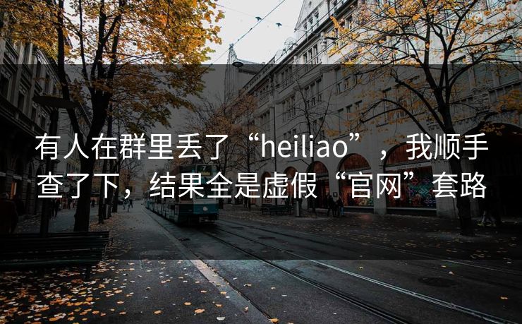 有人在群里丢了“heiliao”,我顺手查了下,结果全是虚假“官网”套路 有人在群里丢了“heiliao”,我顺手查了下,结果全是虚假“官网”套路